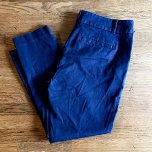 Loft Outlet blue skinny ankle pants size 10P